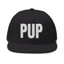 Hats One size / Black INTO: PUP Embroidered Flat Bill Cap – Kink Hat for Human Pups, Handlers & Playful Queer Expression LEATHERDADDY BATOR