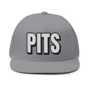 Hats One size / Grey INTO: PITS Embroidered Flat Bill Cap – Kink Hat for Armpit Fetishists, Musk Lovers & Scent-Driven Play LEATHERDADDY BATOR
