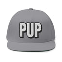 Hats One size / Grey INTO: PUP Embroidered Flat Bill Cap – Kink Hat for Human Pups, Handlers & Playful Queer Expression LEATHERDADDY BATOR