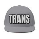 Hats One size / Grey INTO: TRANS Embroidered Flat Bill Cap – Queer Hat for Trans Pride, Visibility & Power LEATHERDADDY BATOR