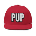 Hats One size / Red INTO: PUP Embroidered Flat Bill Cap – Kink Hat for Human Pups, Handlers & Playful Queer Expression LEATHERDADDY BATOR