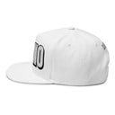 Hats INTO: HYPNO Embroidered Flat Bill Cap – Kink Hat for Erotic Hypnosis Lovers, Mind Control Enthusiasts & Trance Junkies LEATHERDADDY BATOR