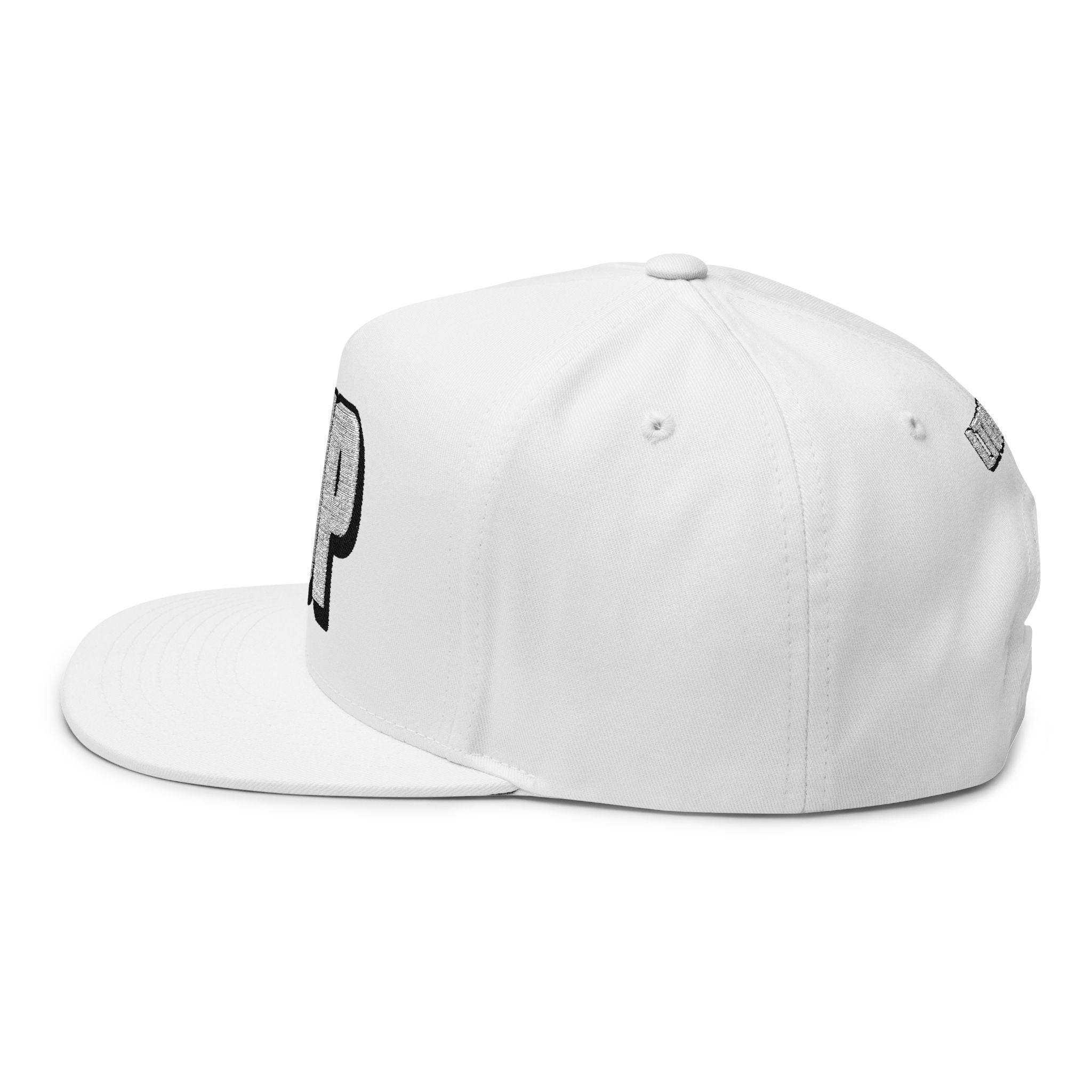 Hats INTO: PUP Embroidered Flat Bill Cap – Kink Hat for Human Pups, Handlers & Playful Queer Expression LEATHERDADDY BATOR